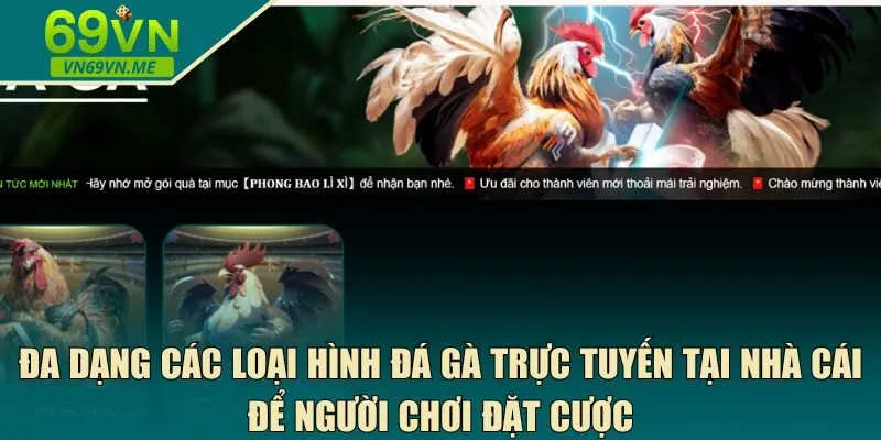 Đa dạng các loại hình đá gà trực tuyến 