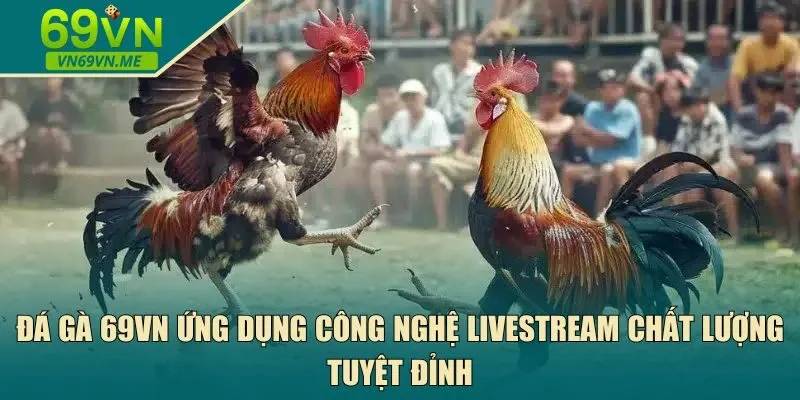 Đá gà 69VN ứng dụng công nghệ livestream 