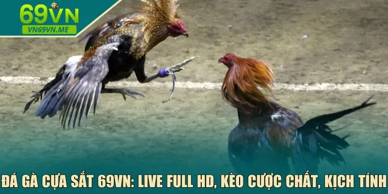 Đá gà cựa sắt