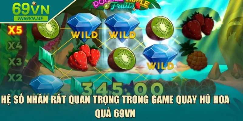 quay hũ hoa quả 69VN