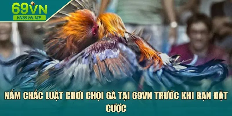 Nắm chắc luật chơi chọi gà tại 69VN