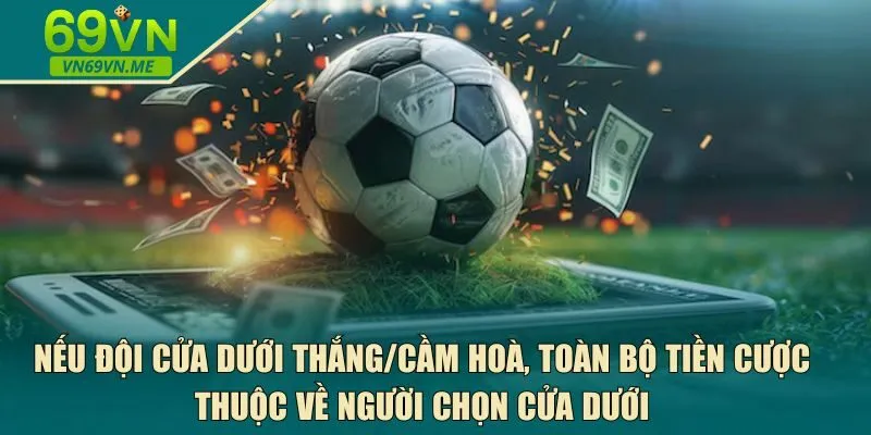 chọn cửa dưới