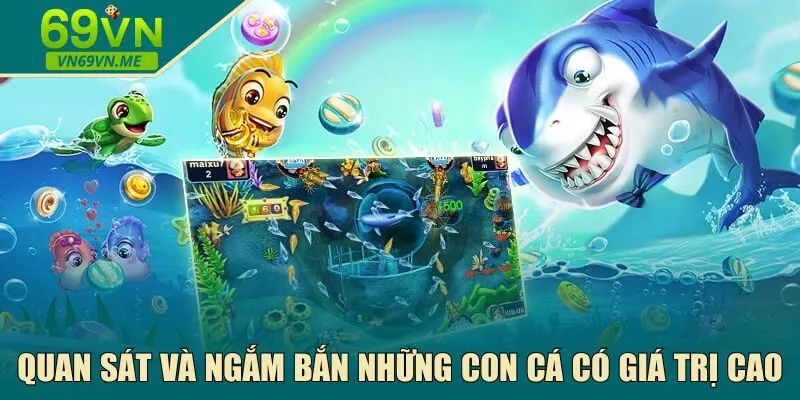 Quan sát và ngắm bắn những con cá