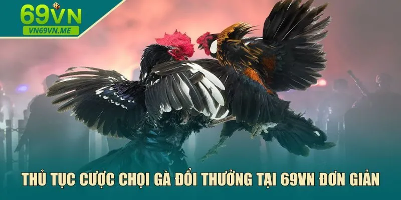 Thủ tục cược chọi gà 
